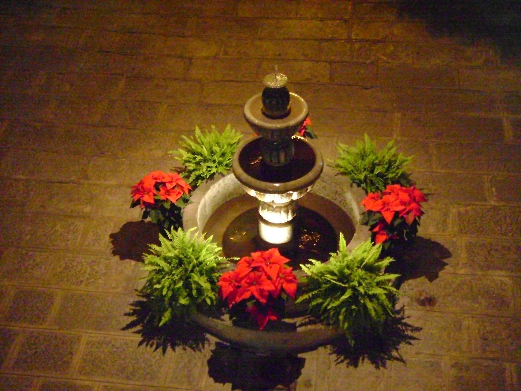 Capital O Del Paseo Hotel Puebla Bagian luar foto